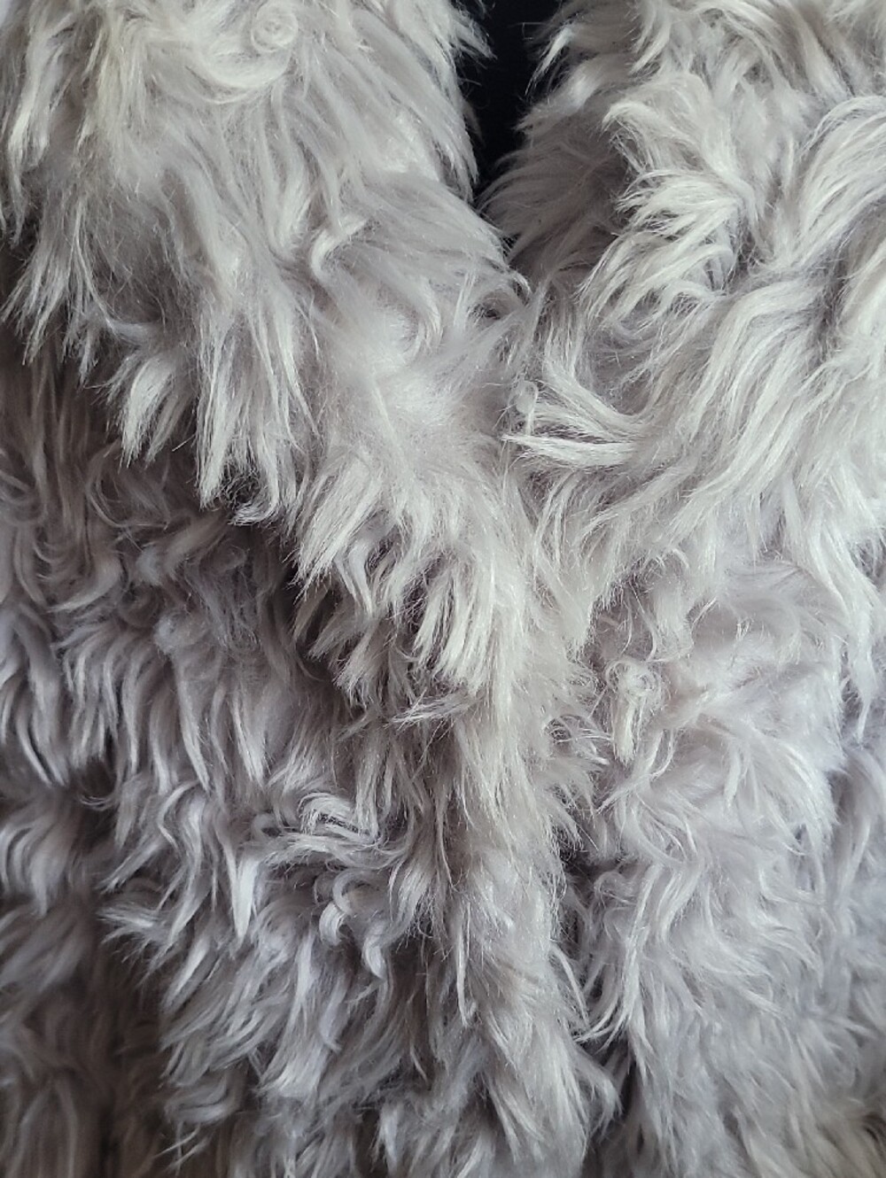 Avec Les Filles Light Gray Teddy Faux Fur Jacket NEW SIZE M SUPER SOFT - Picture 5 of 13